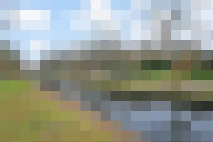Tjerk Kloostralaan 62 Den Haag thumbnail 23