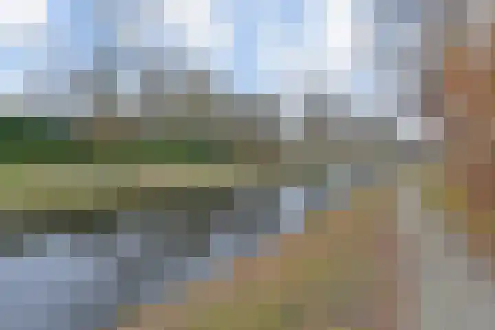 Tjerk Kloostralaan 62 Den Haag thumbnail 24