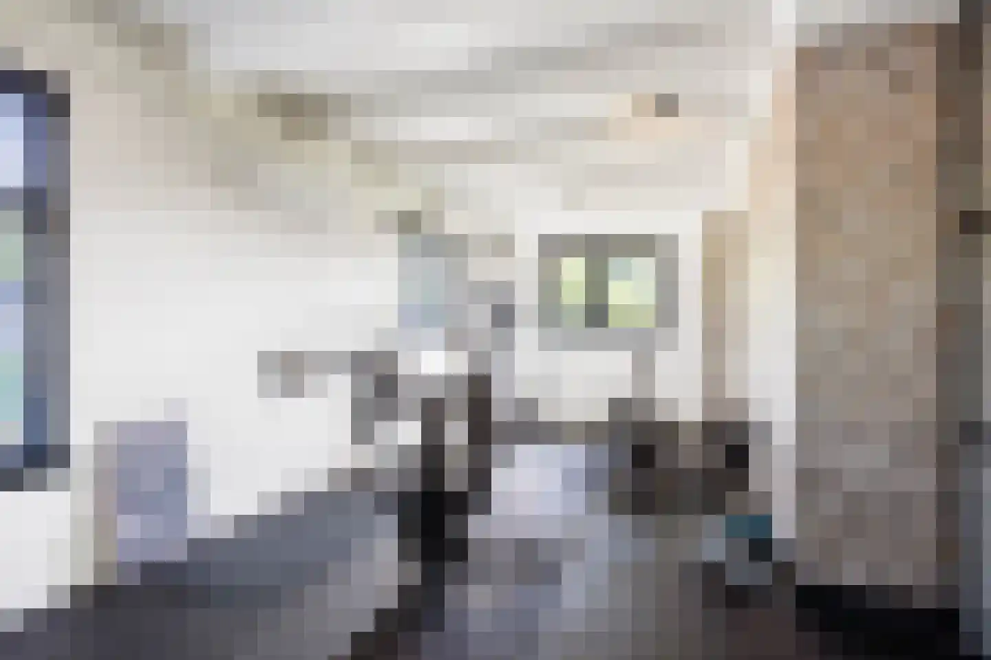 Tjessingawei 12 Firdgum thumbnail 29