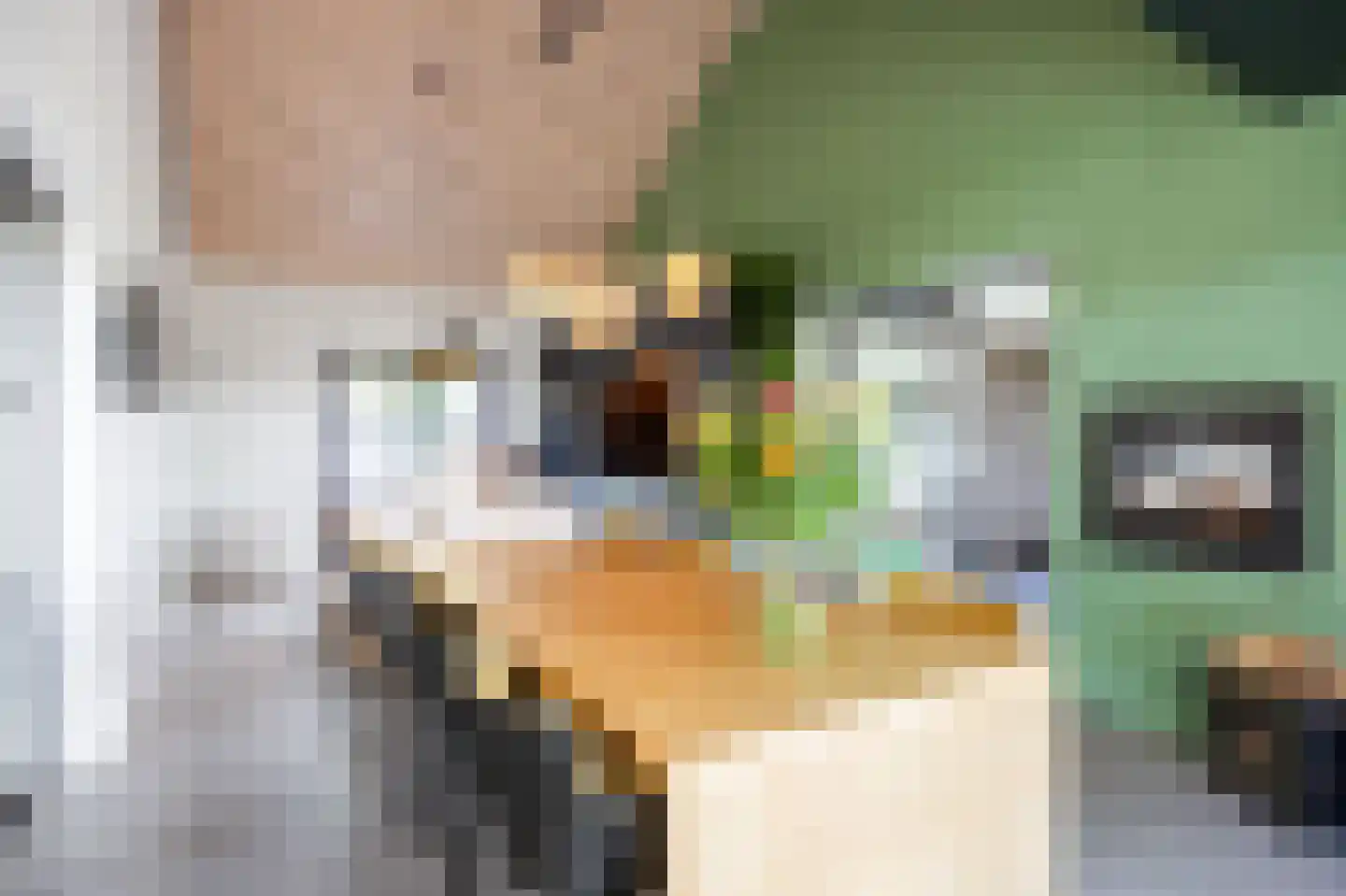 Tjessingawei 12 Firdgum thumbnail 39