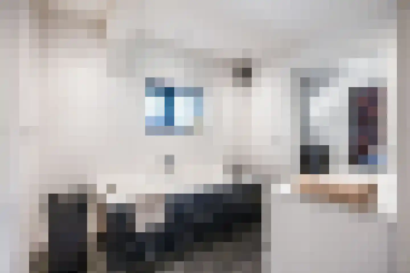 Tjessingawei 12 Firdgum thumbnail 48