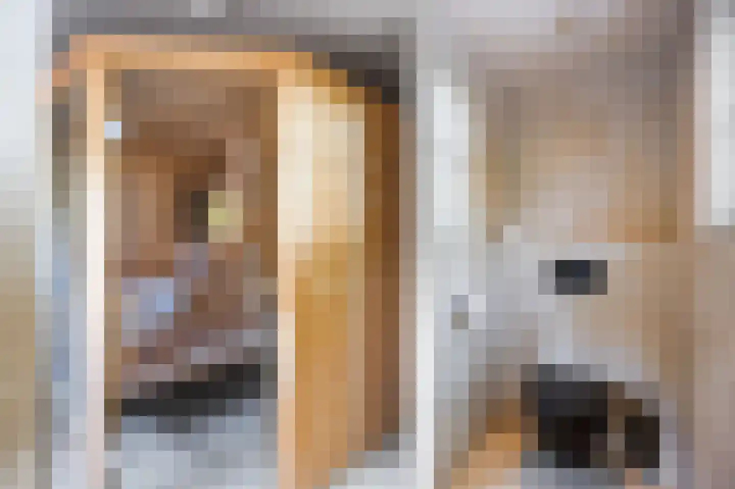 Tjessingawei 12 Firdgum thumbnail 88
