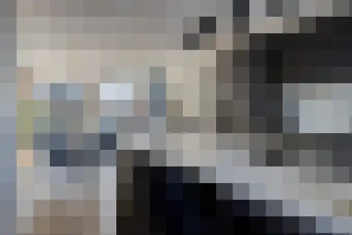 Tjeukemeer 19 Zoetermeer thumbnail 15