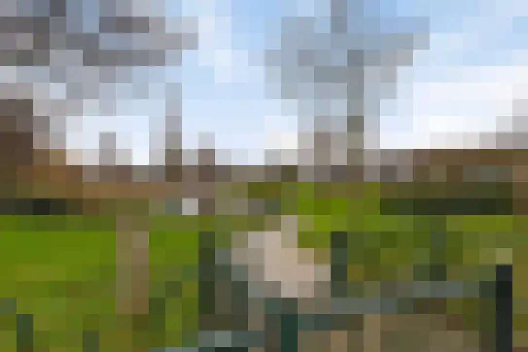 Tjeukemeerhof 4 Amsterdam thumbnail 28
