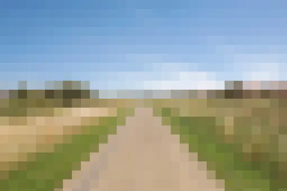 Tjeukemeerhof 4 Amsterdam thumbnail 30