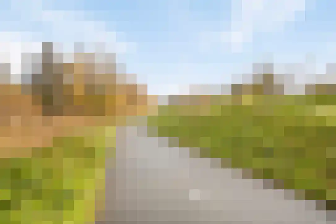 Tjeukemeerhof 4 Amsterdam thumbnail 32