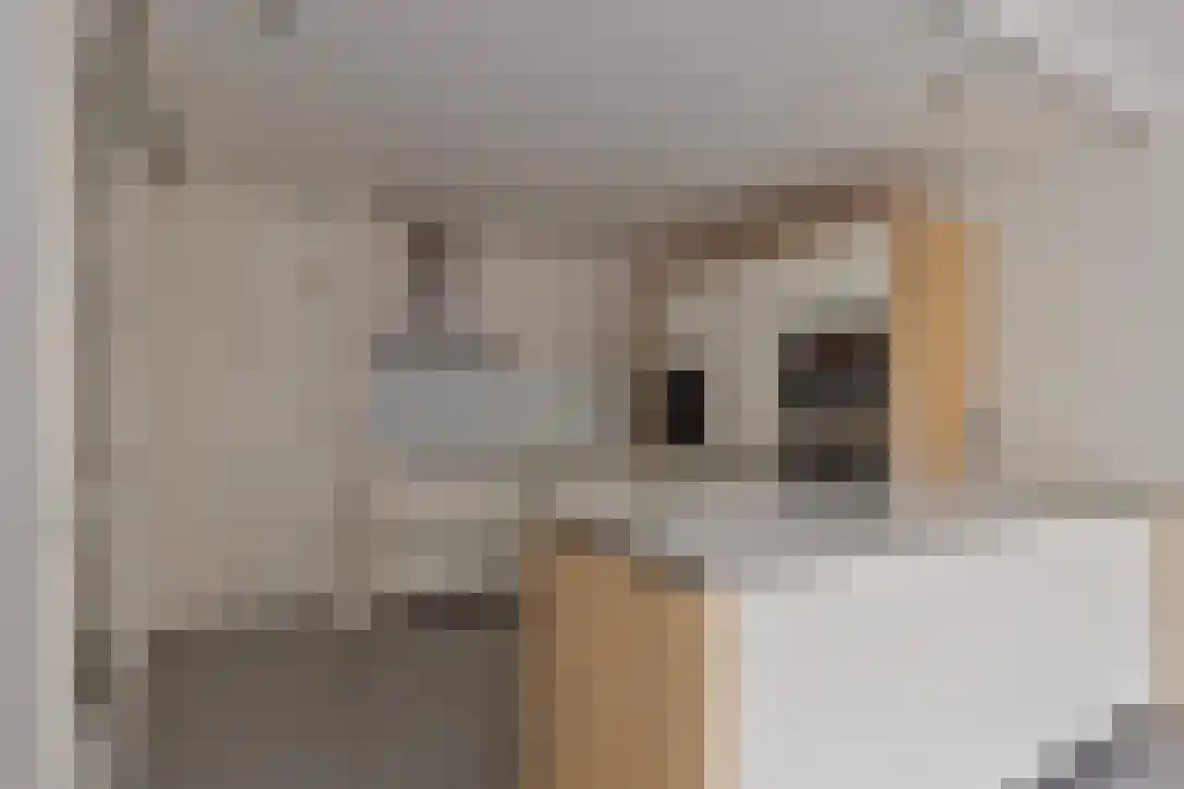 Tjeukemeerhof 4 Amsterdam thumbnail 4