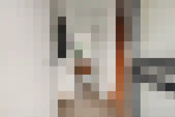 Tjeukemeerstraat 25 Almere thumbnail 8