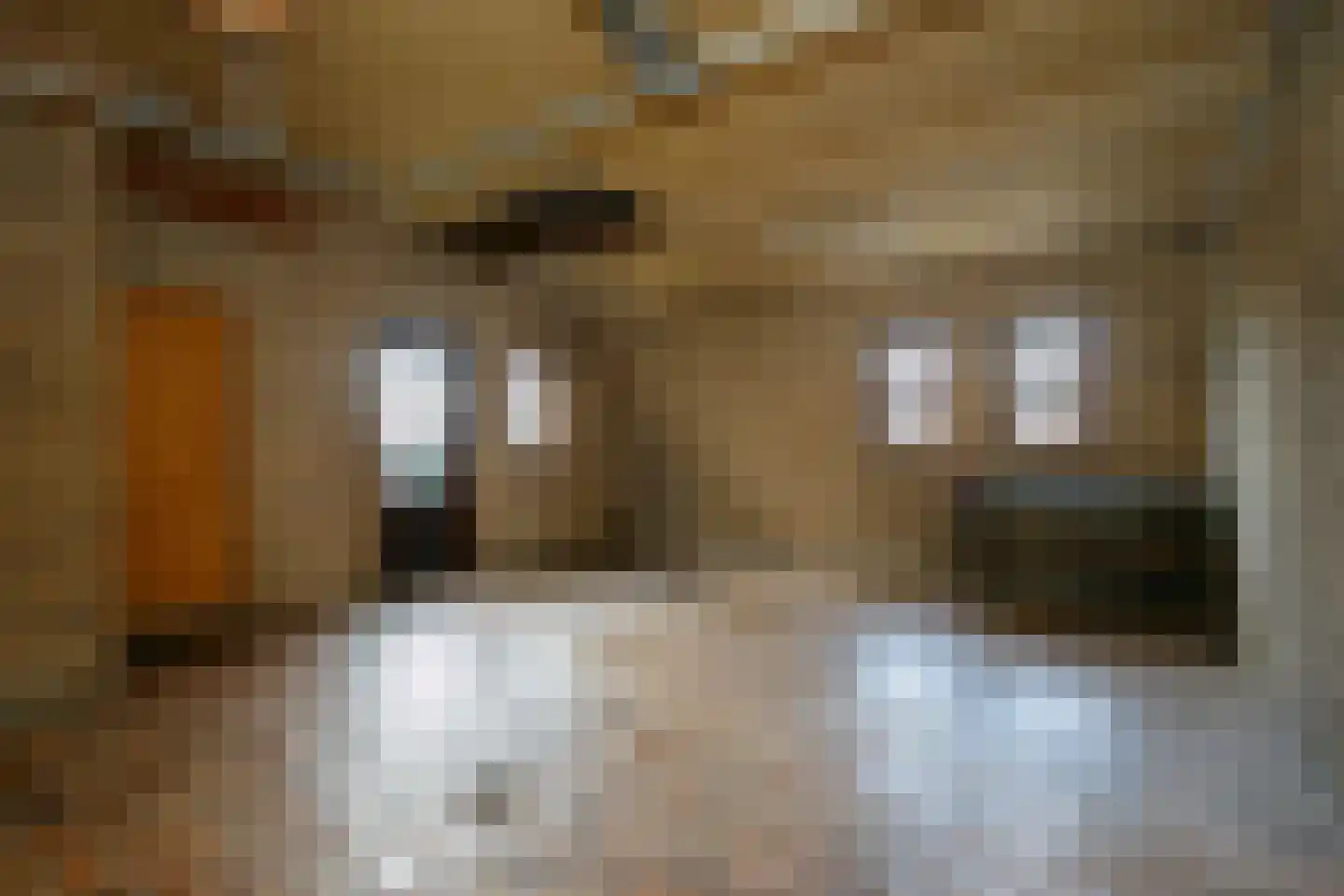 Tjeukemeerstraat 71 Lemmer thumbnail 19