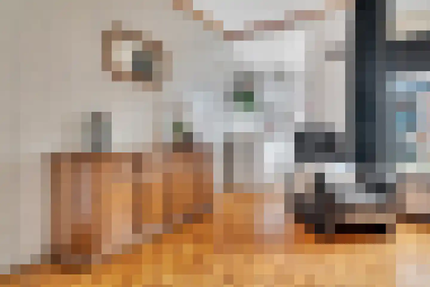 Tjibbe Knolstraat 42 Overdinkel thumbnail 10