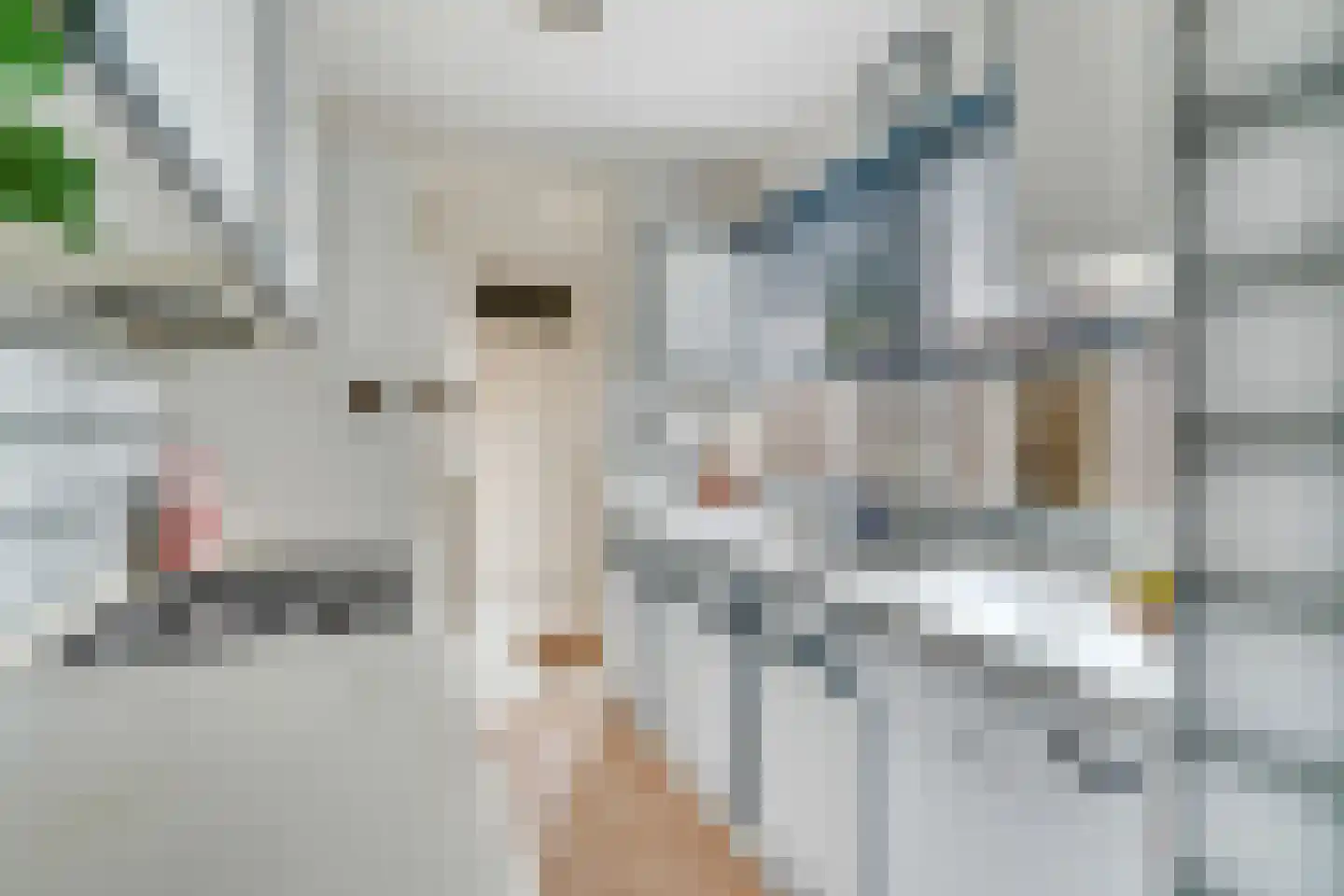 Tjibbe Knolstraat 42 Overdinkel thumbnail 14