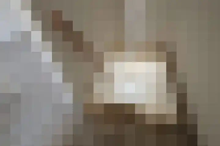 Tjibbe Knolstraat 46 Overdinkel thumbnail 15