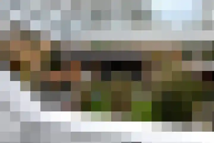 Tjibbe van den Bergstraat 19 Haulerwijk thumbnail 23