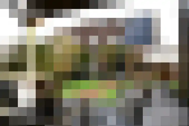Tjibbe van den Bergstraat 19 Haulerwijk thumbnail 31