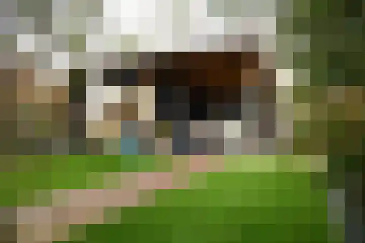 Tjibbe van den Bergstraat 19 Haulerwijk thumbnail 35