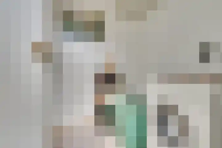 Tjiftjaf 5 Nieuwegein thumbnail 34