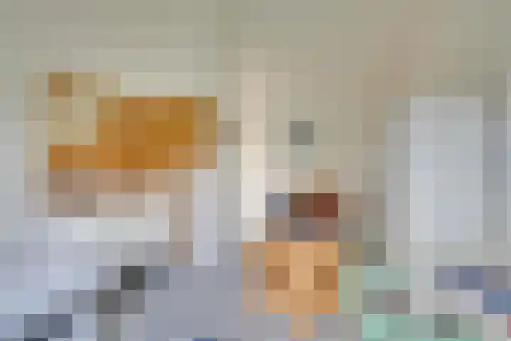 Tjiftjaf 5 Nieuwegein thumbnail 38