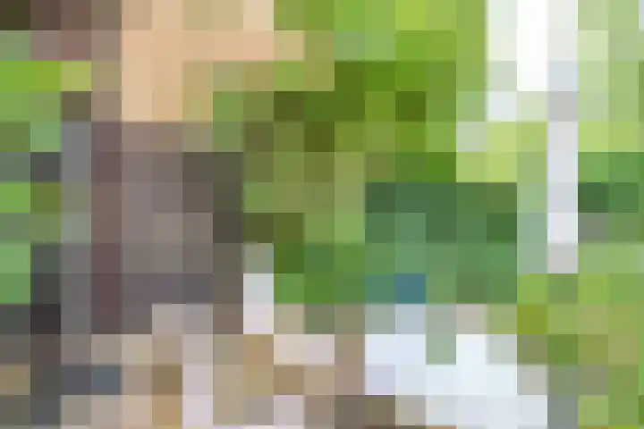 Tjiftjaf 5 Nieuwegein thumbnail 39