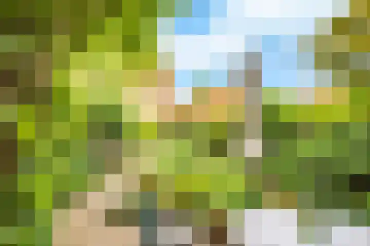 Tjiftjaf 5 Nieuwegein thumbnail 42