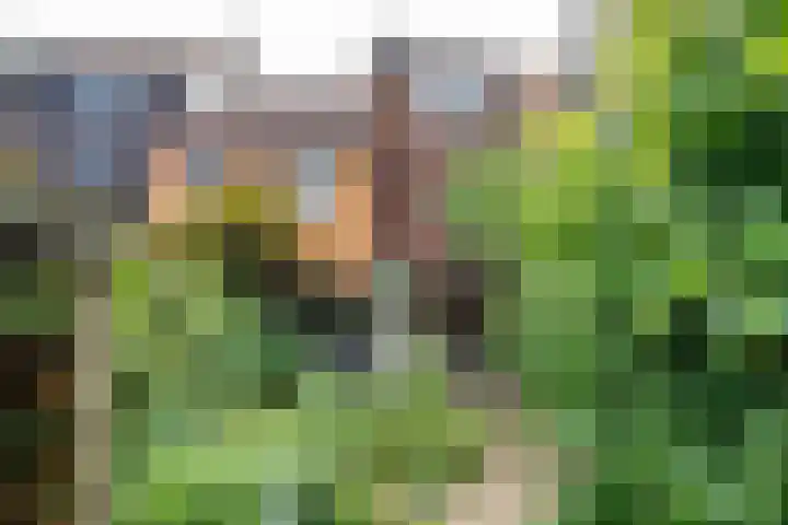 Tjiftjaf 5 Nieuwegein thumbnail 44