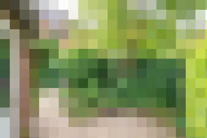 Tjiftjaf 5 Nieuwegein thumbnail 45