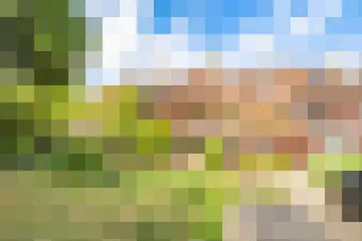 Tjiftjaf 5 Nieuwegein thumbnail 48