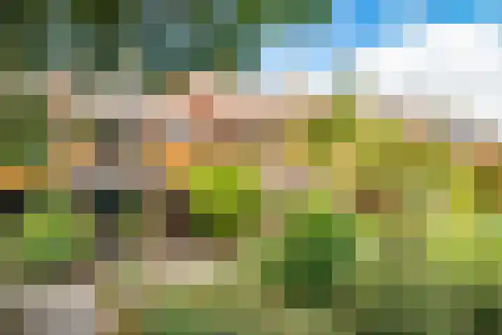 Tjiftjaf 5 Nieuwegein thumbnail 49