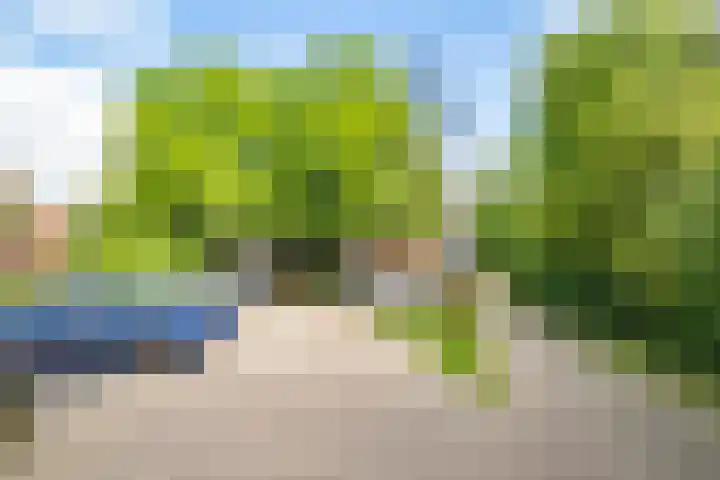 Tjiftjaf 5 Nieuwegein thumbnail 50