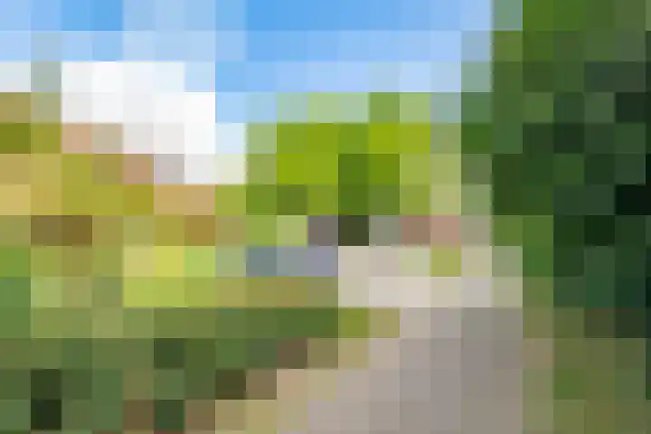 Tjiftjaf 5 Nieuwegein thumbnail 51