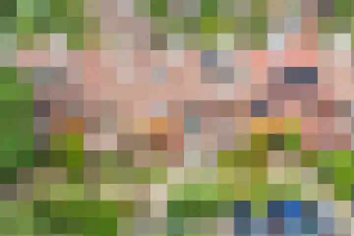 Tjiftjaf 5 Nieuwegein thumbnail 55