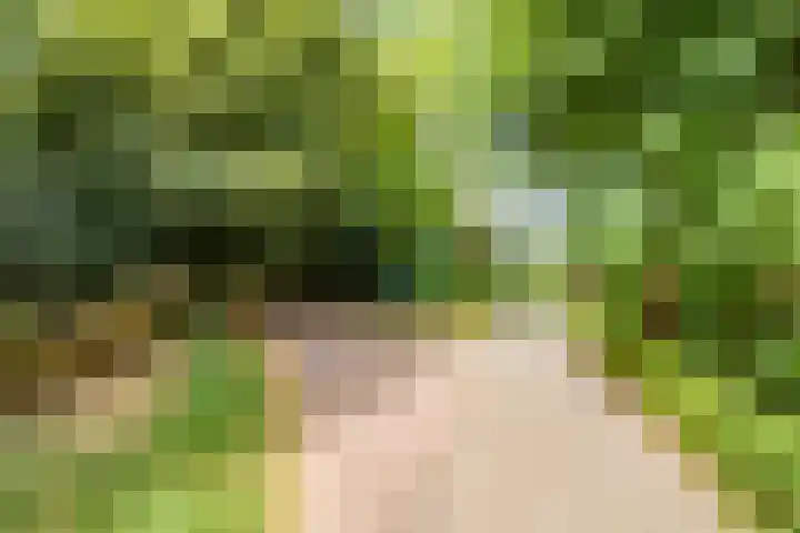 Tjiftjaf 5 Nieuwegein thumbnail 60