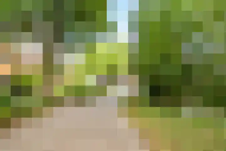Tjiftjaf 5 Nieuwegein thumbnail 61