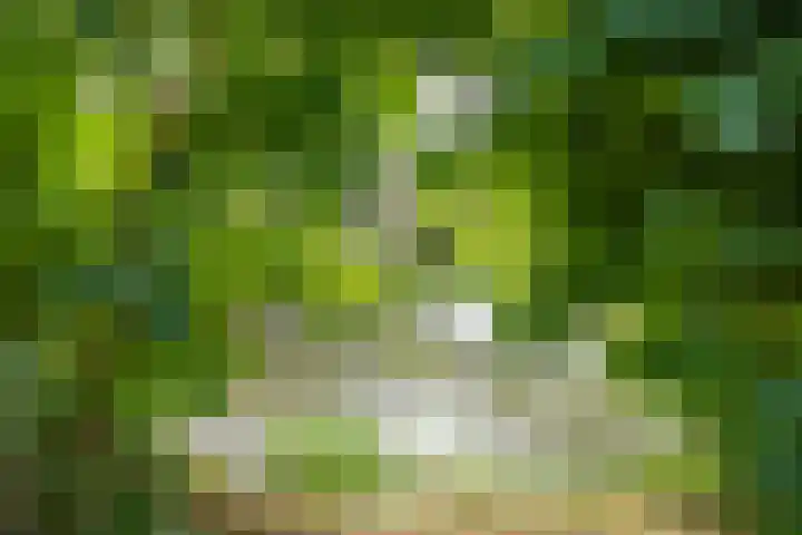 Tjiftjaf 5 Nieuwegein thumbnail 62