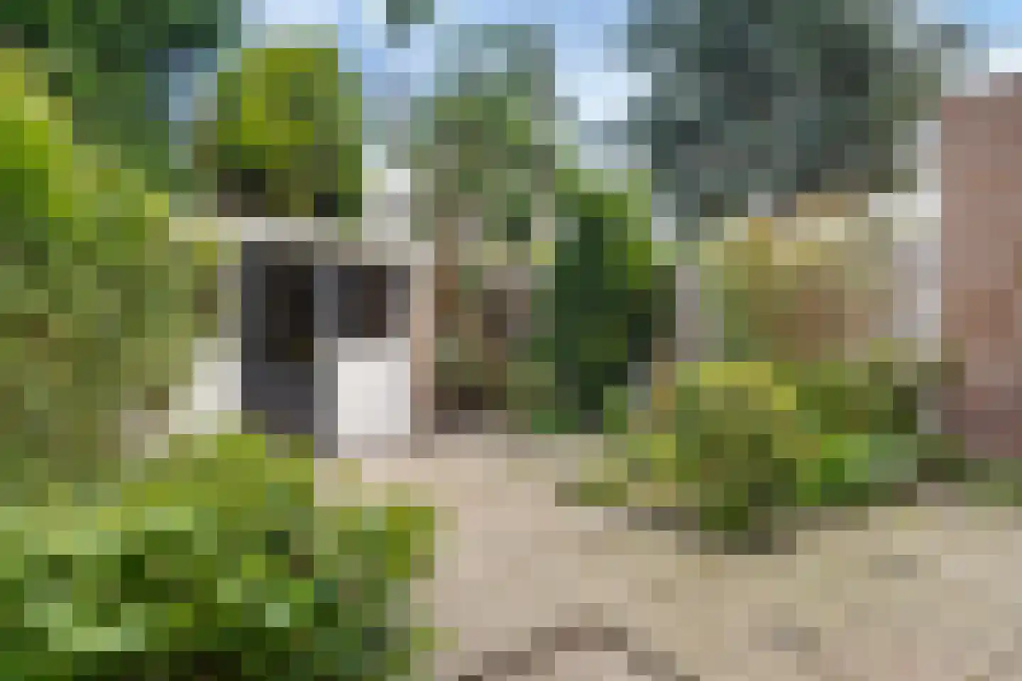 Tjipke Visserweg 13 Bergen (NH) thumbnail 18