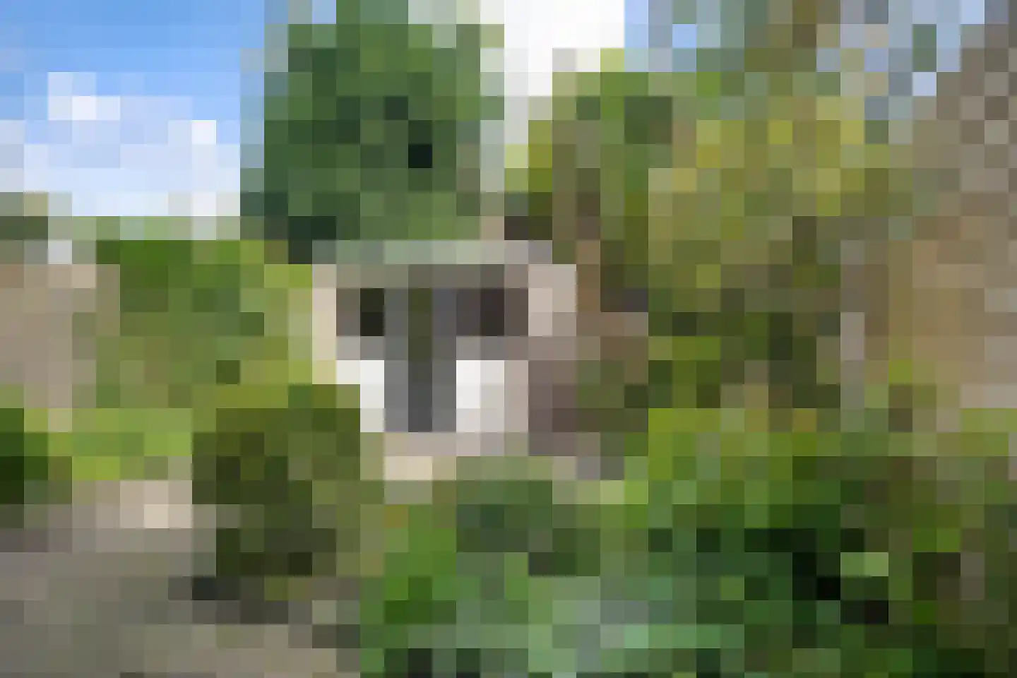 Tjipke Visserweg 13 Bergen (NH) thumbnail 5