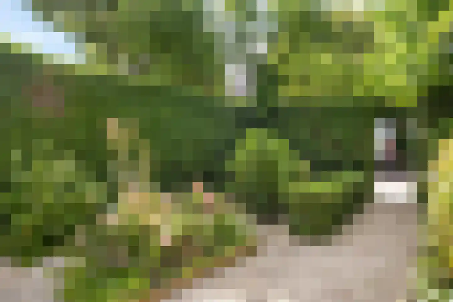 Tjipke Visserweg 13 Bergen (NH) thumbnail 7