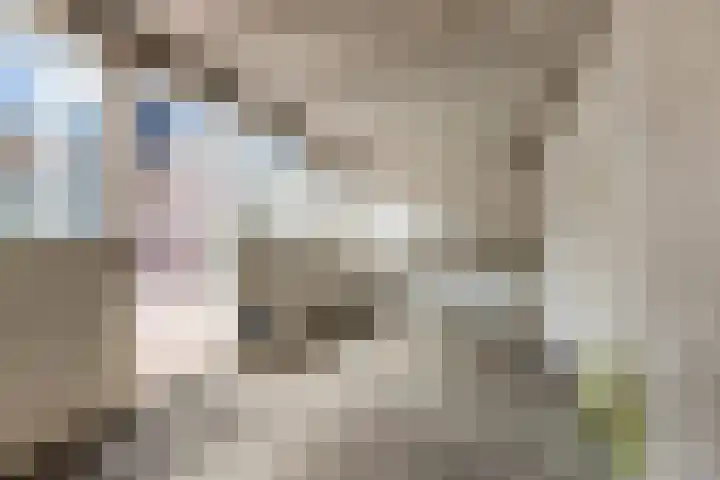 Tjipke Visserweg 23 Bergen (NH) thumbnail 31