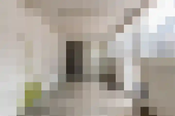 Tjipke Visserweg 23 Bergen (NH) thumbnail 32