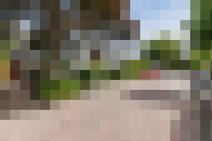 Tjipke Visserweg 23 Bergen (NH) thumbnail 35