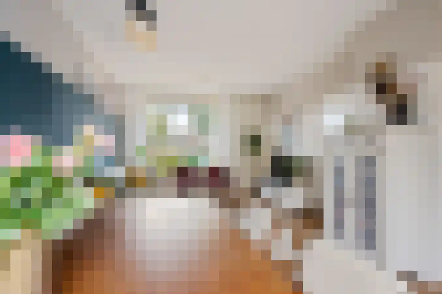 Tjissema 7 Wytgaard thumbnail 16