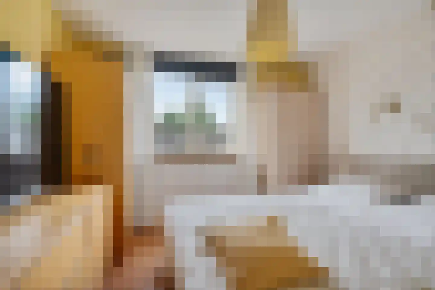 Tjissema 7 Wytgaard thumbnail 21