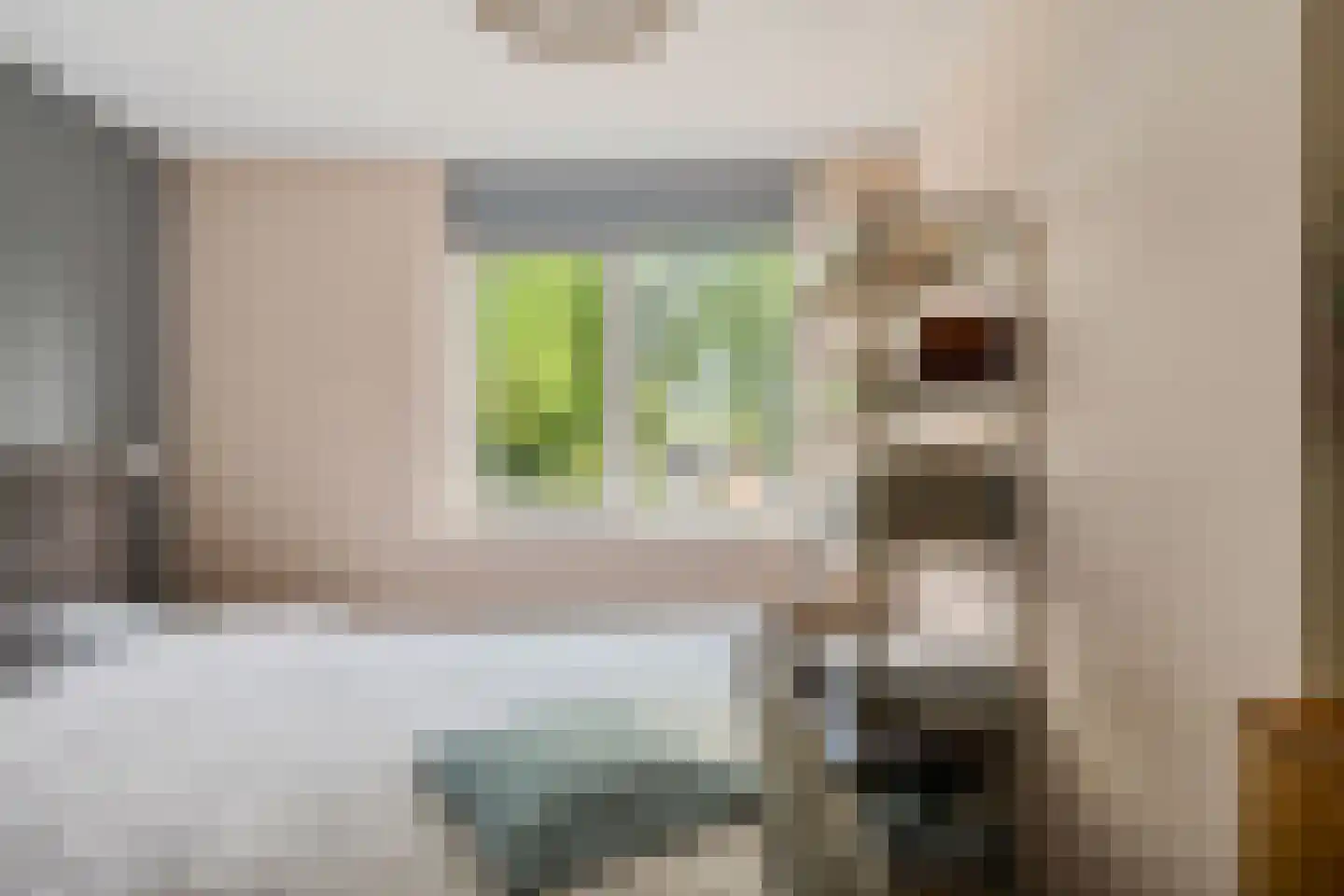 Tjissema 7 Wytgaard thumbnail 24