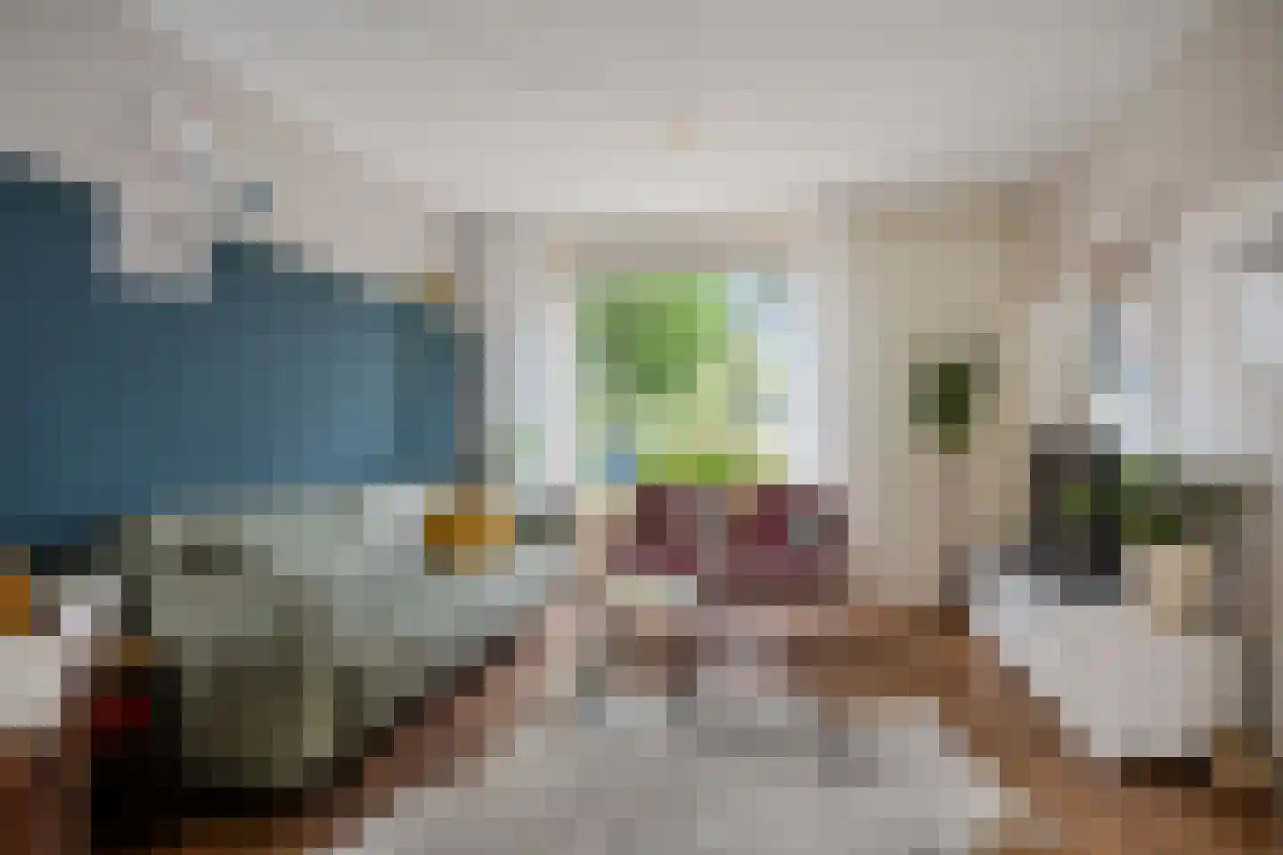Tjissema 7 Wytgaard foto 3