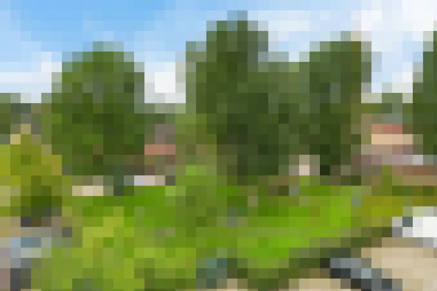 Tjissema 7 Wytgaard thumbnail 35