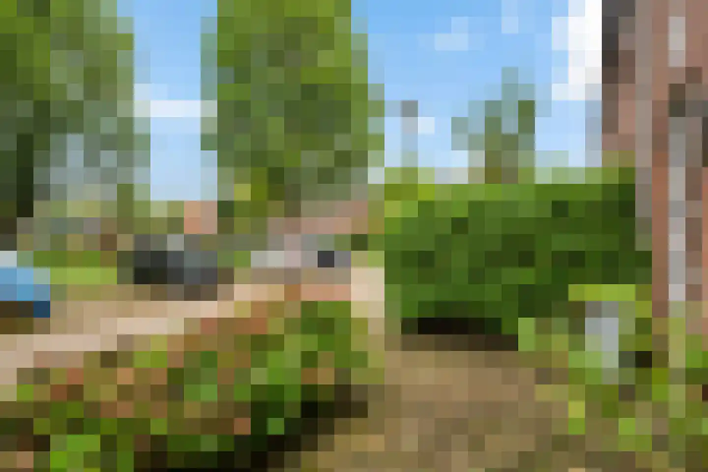 Tjissema 7 Wytgaard thumbnail 8