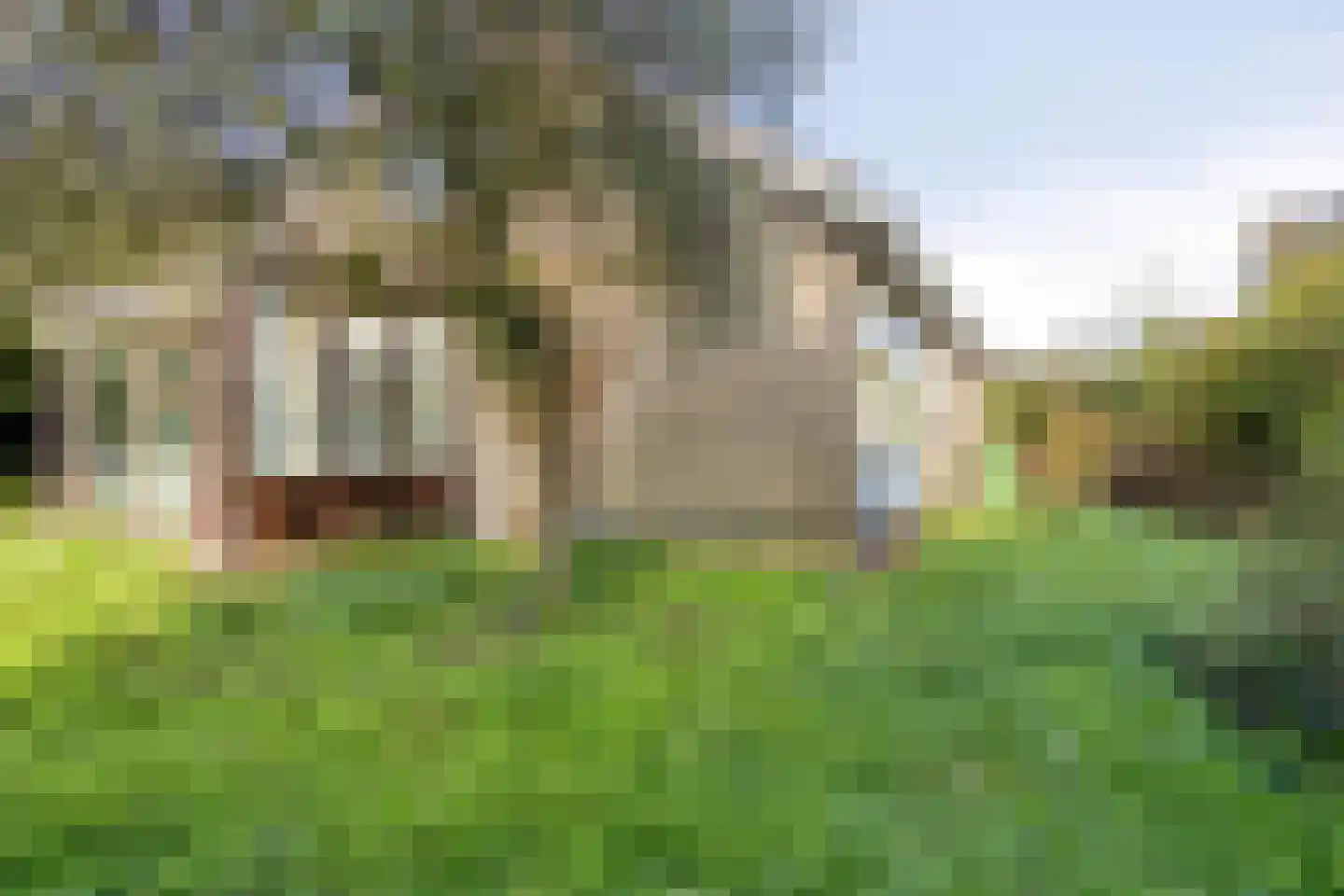 Tjitze de Boerstrjitte 23 Wirdum thumbnail 10