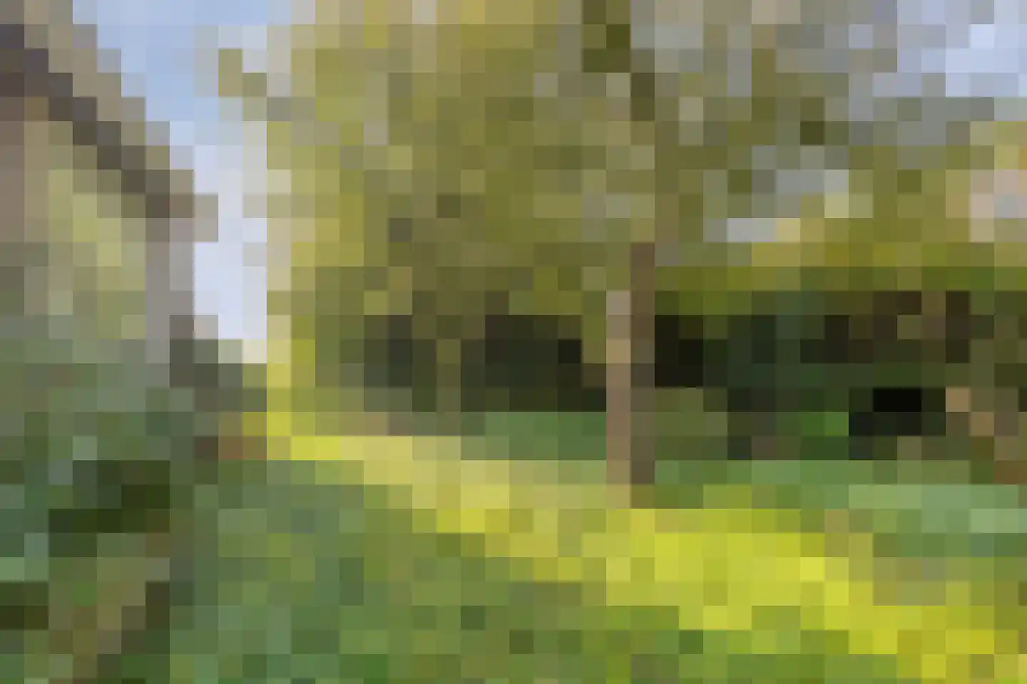 Tjitze de Boerstrjitte 23 Wirdum thumbnail 11