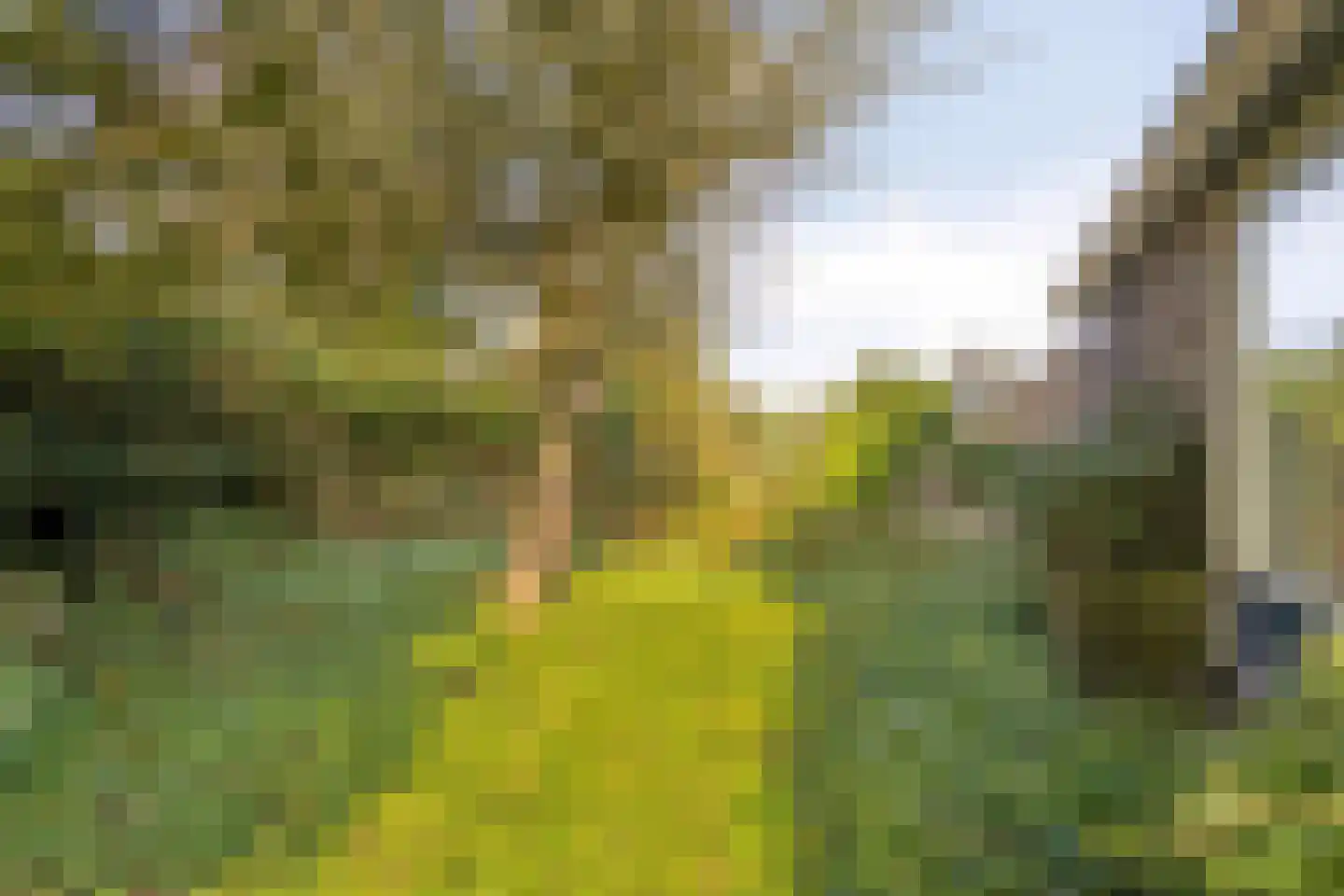 Tjitze de Boerstrjitte 23 Wirdum thumbnail 12