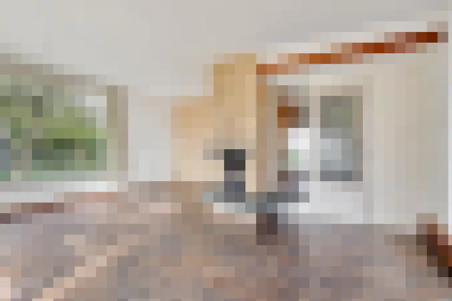Tjitze de Boerstrjitte 23 Wirdum thumbnail 17