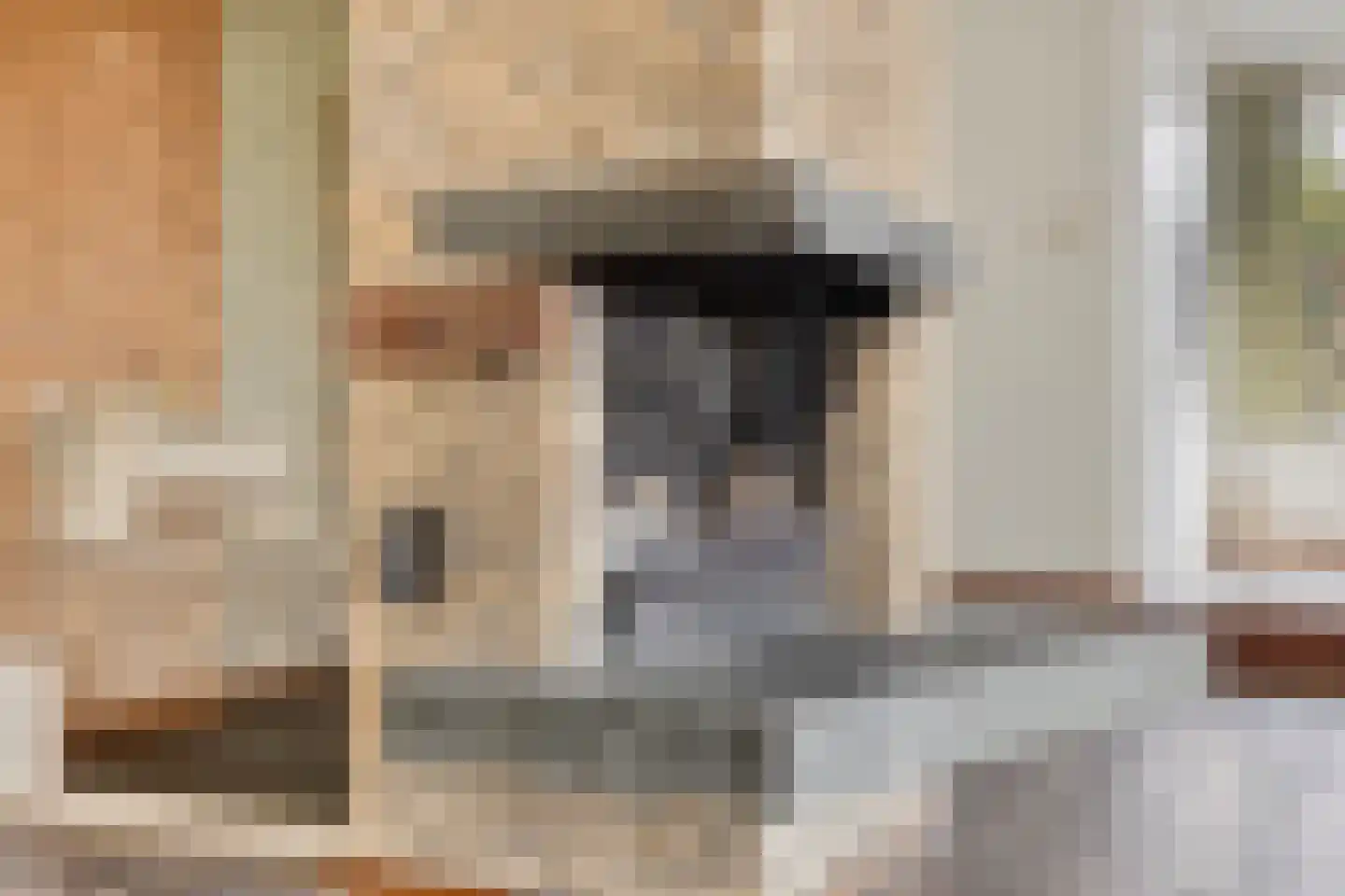 Tjitze de Boerstrjitte 23 Wirdum thumbnail 18